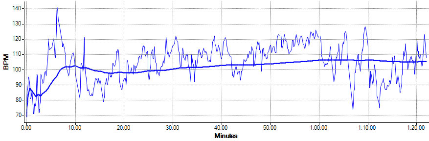 Wykres tętna 28 luty 2010 Wykres tętna 28 luty 2010